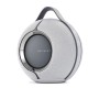 Enceinte portable Devialet Mania